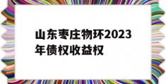 山东枣庄物环2023年债权收益权