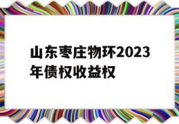 山东枣庄物环2023年债权收益权