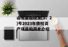 山东梁山经发(1、2)号2023年债权资产项目的简单介绍