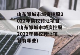 山东邹城市城资控股2022年债权转让项目(山东邹城市城资控股2022年债权转让项目有哪些)