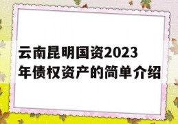 云南昆明国资2023年债权资产的简单介绍