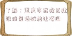 了解：重庆市武隆区建设投资债权转让项目