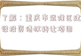 了解：重庆市武隆区建设投资债权转让项目