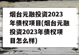 烟台元融投资2023年债权项目(烟台元融投资2023年债权项目怎么样)