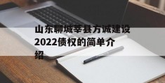 山东聊城莘县方诚建设2022债权的简单介绍