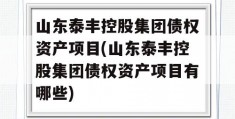 山东泰丰控股集团债权资产项目(山东泰丰控股集团债权资产项目有哪些)