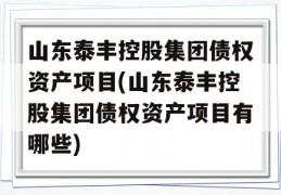 山东泰丰控股集团债权资产项目(山东泰丰控股集团债权资产项目有哪些)