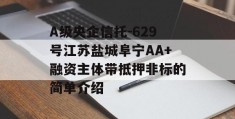 A级央企信托-629号江苏盐城阜宁AA+融资主体带抵押非标的简单介绍