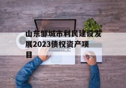 山东邹城市利民建设发展2023债权资产项目