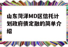 山东菏泽MD区信托计划政府债定融的简单介绍