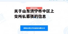 关于山东济宁市中区上交所私募债的信息