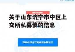 关于山东济宁市中区上交所私募债的信息