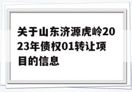 关于山东济源虎岭2023年债权01转让项目的信息