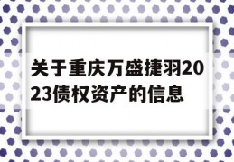 关于重庆万盛捷羽2023债权资产的信息