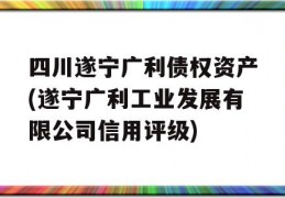 四川遂宁广利债权资产(遂宁广利工业发展有限公司信用评级)