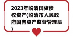 2023年临清国资债权资产(临清市人民政府国有资产监督管理局)