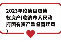 2023年临清国资债权资产(临清市人民政府国有资产监督管理局)