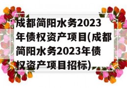 成都简阳水务2023年债权资产项目(成都简阳水务2023年债权资产项目招标)