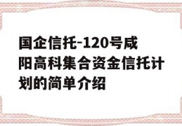 国企信托-120号咸阳高科集合资金信托计划的简单介绍