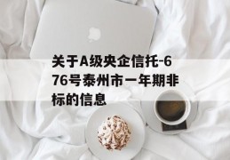 关于A级央企信托-676号泰州市一年期非标的信息