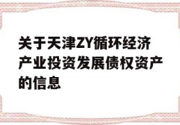 关于天津ZY循环经济产业投资发展债权资产的信息