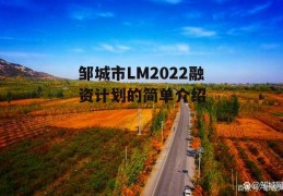 邹城市LM2022融资计划的简单介绍