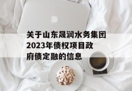 关于山东晟润水务集团2023年债权项目政府债定融的信息