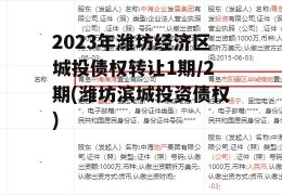 2023年潍坊经济区城投债权转让1期/2期(潍坊滨城投资债权)