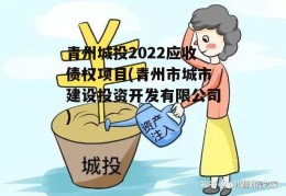 青州城投2022应收债权项目(青州市城市建设投资开发有限公司)