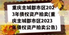 重庆主城都市区2023年债权资产拍卖(重庆主城都市区2023年债权资产拍卖公告)