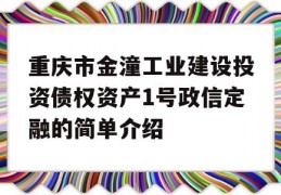 重庆市金潼工业建设投资债权资产1号政信定融的简单介绍