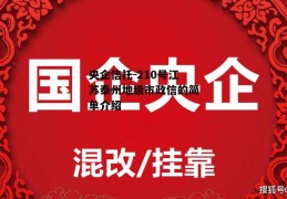 央企信托-210号江苏泰州地级市政信的简单介绍