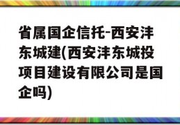 省属国企信托-西安沣东城建(西安沣东城投项目建设有限公司是国企吗)