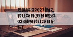 郏县城投2023债权转让项目(郏县城投2023债权转让项目招标)