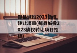 郏县城投2023债权转让项目(郏县城投2023债权转让项目招标)