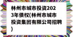 林州市城市投资2023年债权(林州市城市投资集团有限公司招聘)