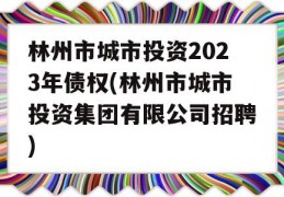 林州市城市投资2023年债权(林州市城市投资集团有限公司招聘)