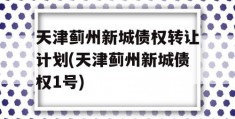 天津蓟州新城债权转让计划(天津蓟州新城债权1号)