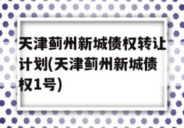 天津蓟州新城债权转让计划(天津蓟州新城债权1号)