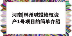 河南|林州城投债权资产1号项目的简单介绍