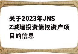 关于2023年JNSZ城建投资债权资产项目的信息