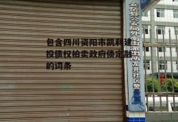 包含四川资阳市凯利建投债权拍卖政府债定融的词条