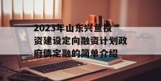 2023年山东兴鱼投资建设定向融资计划政府债定融的简单介绍