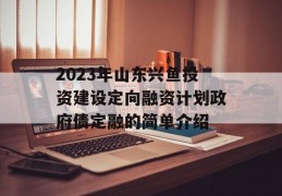 2023年山东兴鱼投资建设定向融资计划政府债定融的简单介绍