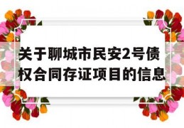 关于聊城市民安2号债权合同存证项目的信息