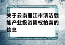 关于云南丽江市清洁载能产业投资债权拍卖的信息