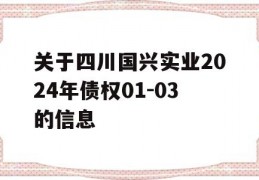 关于四川国兴实业2024年债权01-03的信息