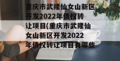 重庆市武隆仙女山新区开发2022年债权转让项目(重庆市武隆仙女山新区开发2022年债权转让项目有哪些)