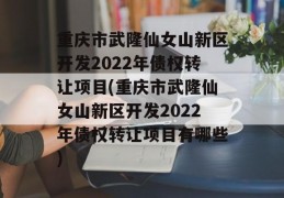 重庆市武隆仙女山新区开发2022年债权转让项目(重庆市武隆仙女山新区开发2022年债权转让项目有哪些)