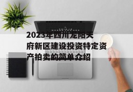 2023年四川龙阳天府新区建设投资特定资产拍卖的简单介绍